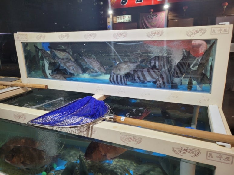 삼이네횟집 이미지