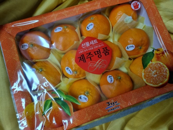 온새미 영농법인 이미지