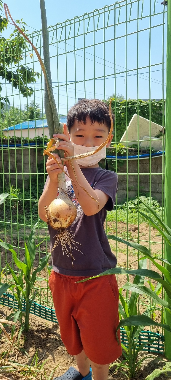 영락어린이집 이미지