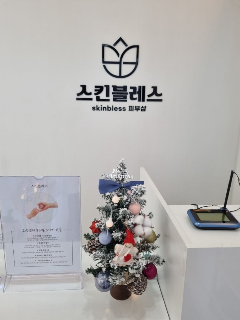 스킨 블레스 이미지