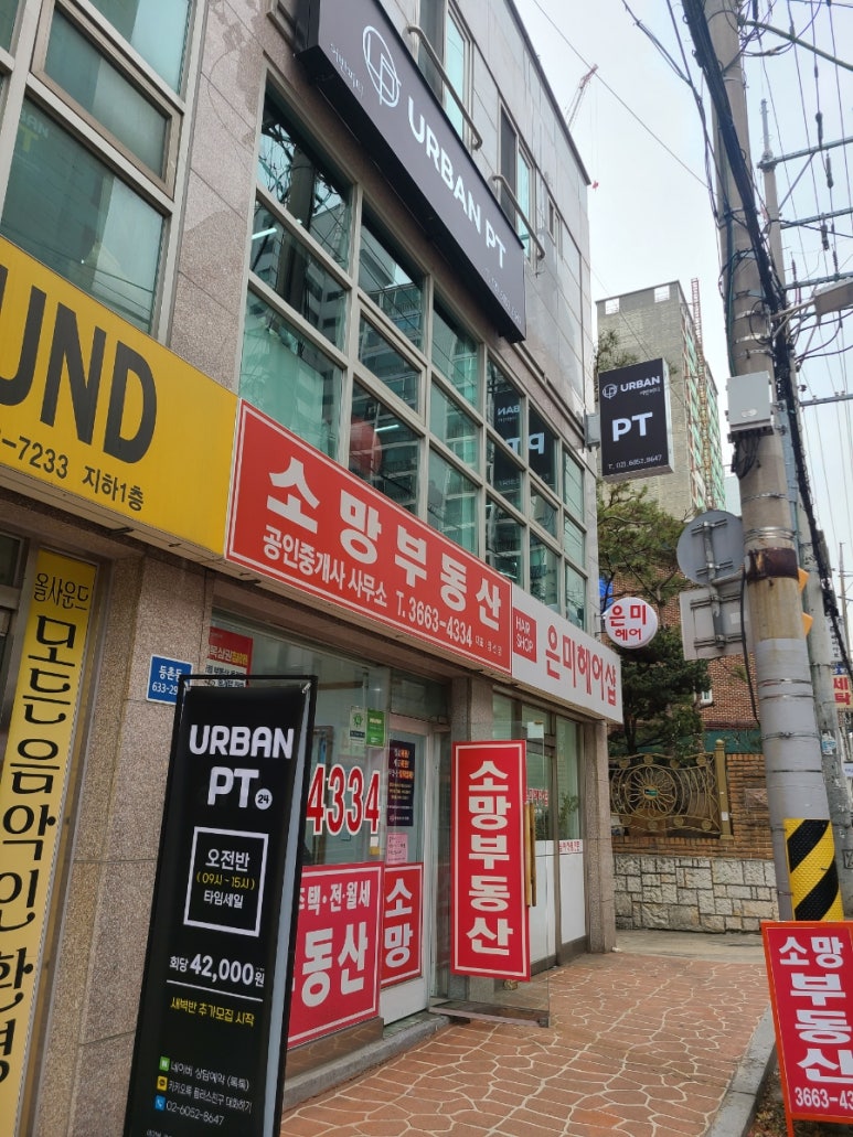 피티스튜디오펄스 이미지