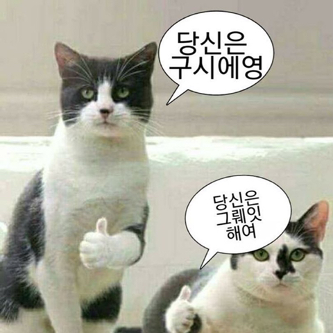 장인한과 이미지