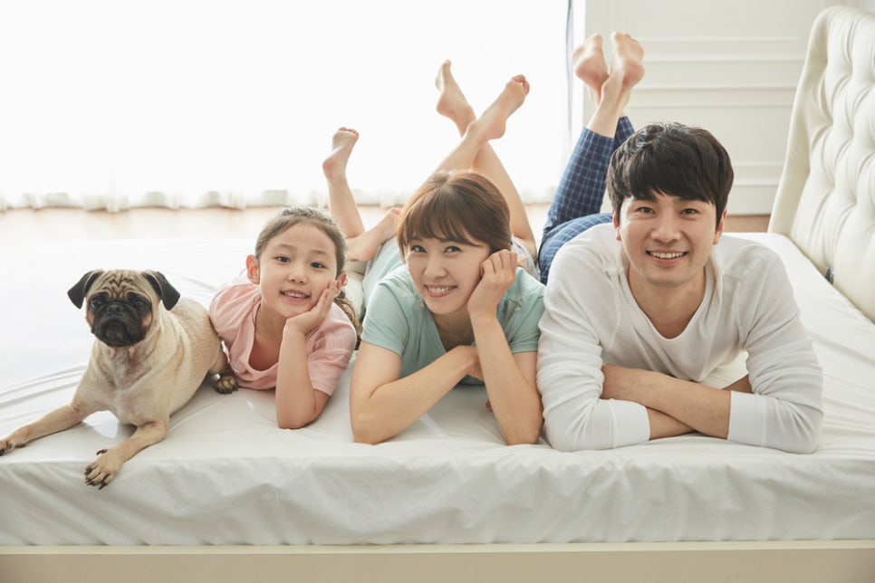 양산시 반려동물지원센터 이미지