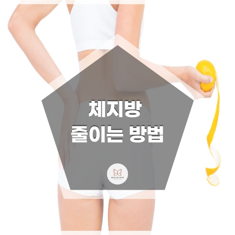 서진DCP 이미지