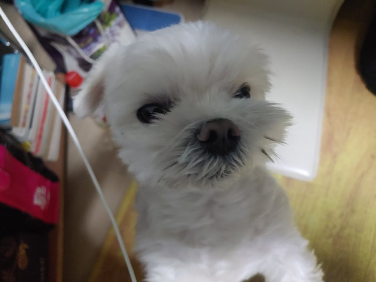 광복왕족발 이미지