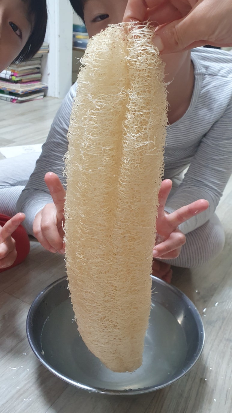 위앤드보니 이미지
