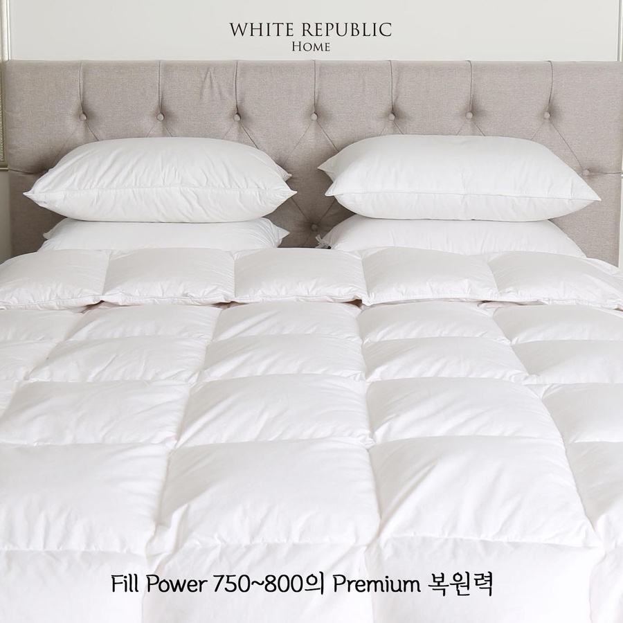 빌러벡 이미지