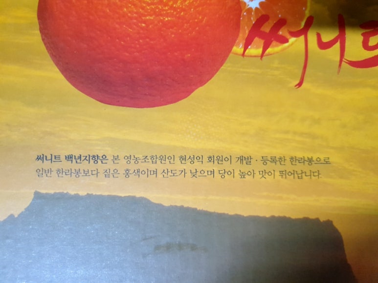 세진농원 이미지