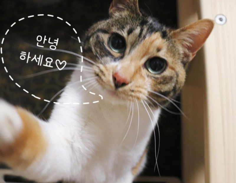 투썸플레이스수원나혜석 이미지