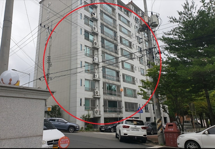 안동제일정보 이미지