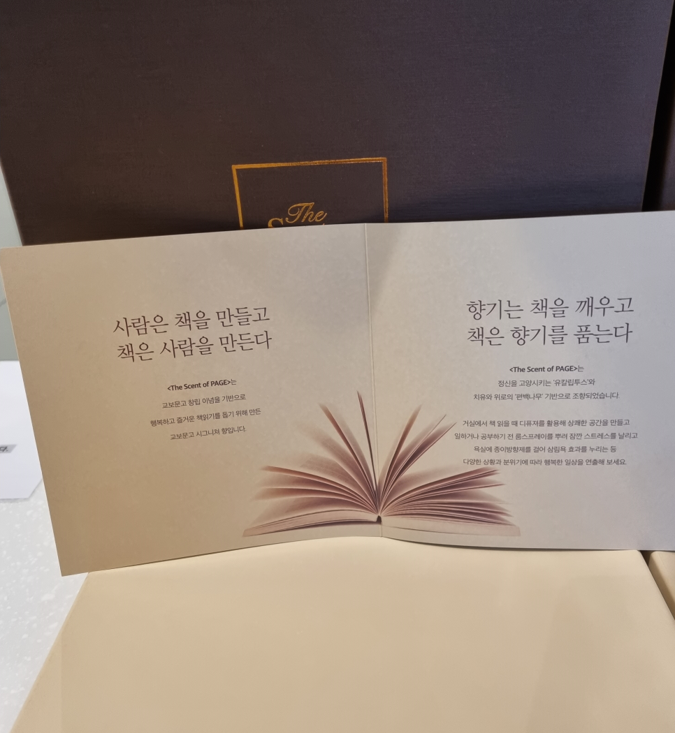멕시모스터디카페 이미지