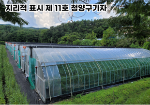영농조합법인 농부 이미지
