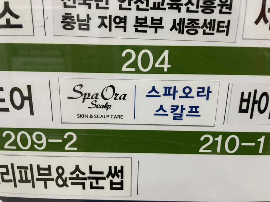 스파오라 스칼프 세종점 이미지