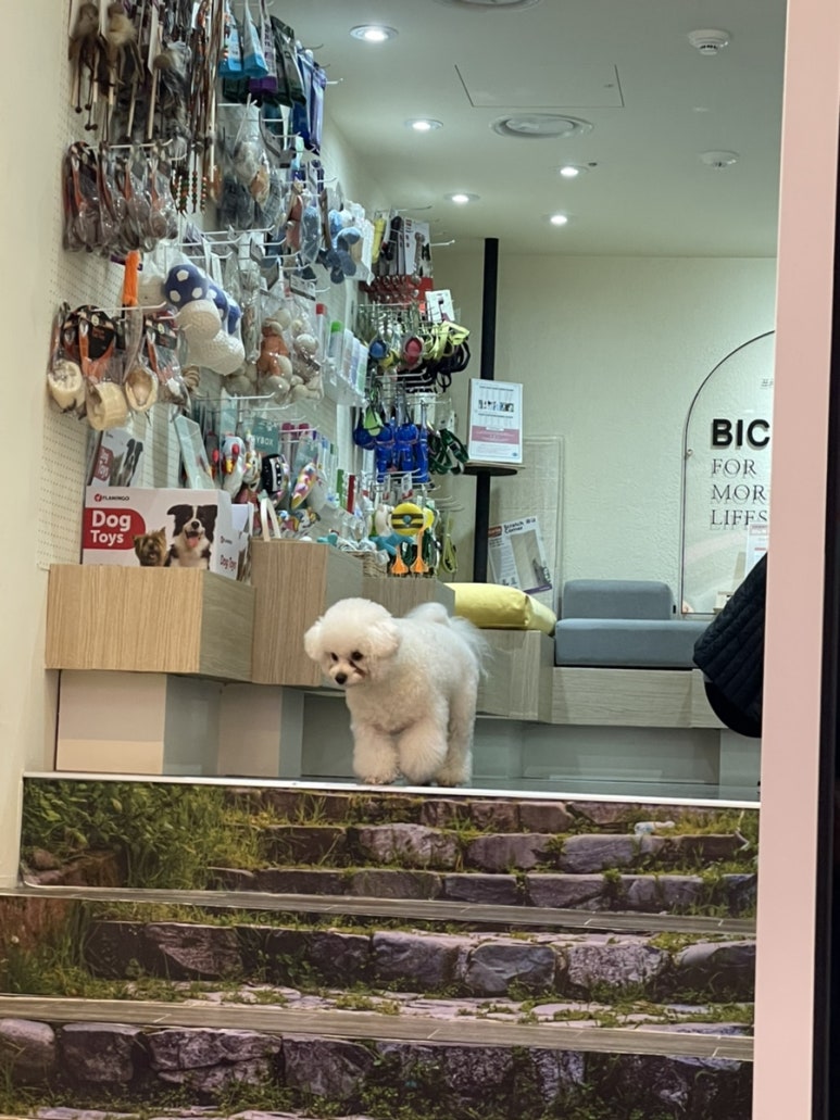 영월식당무실점 이미지
