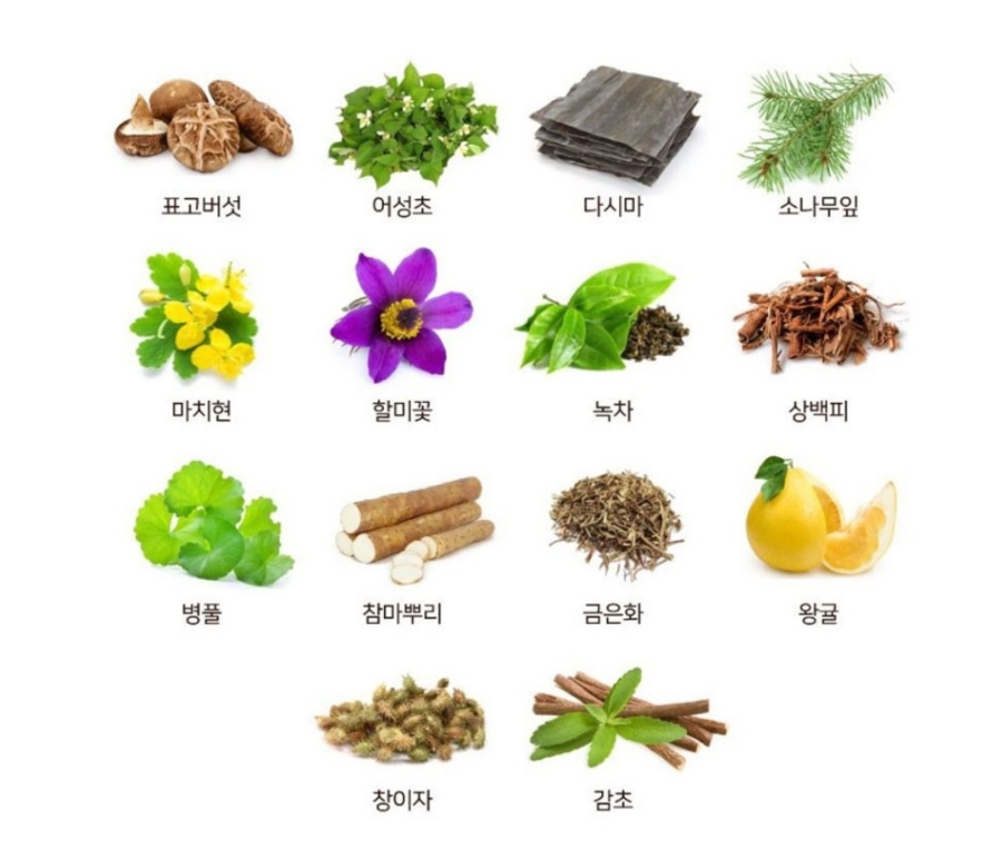 이로움케어 이미지