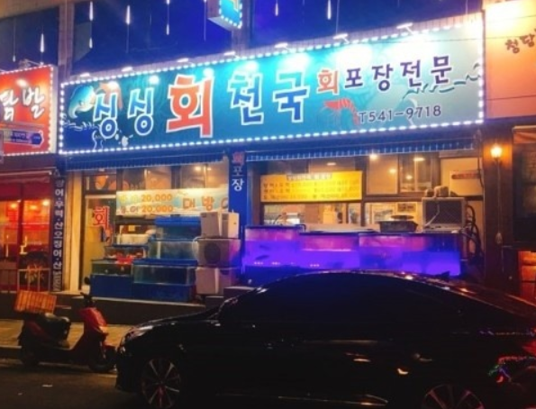 싱싱회천국 이미지