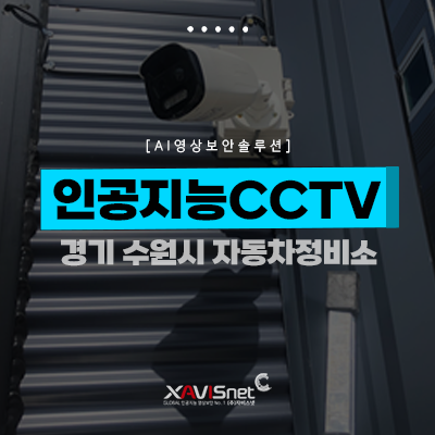 미르카센타 이미지