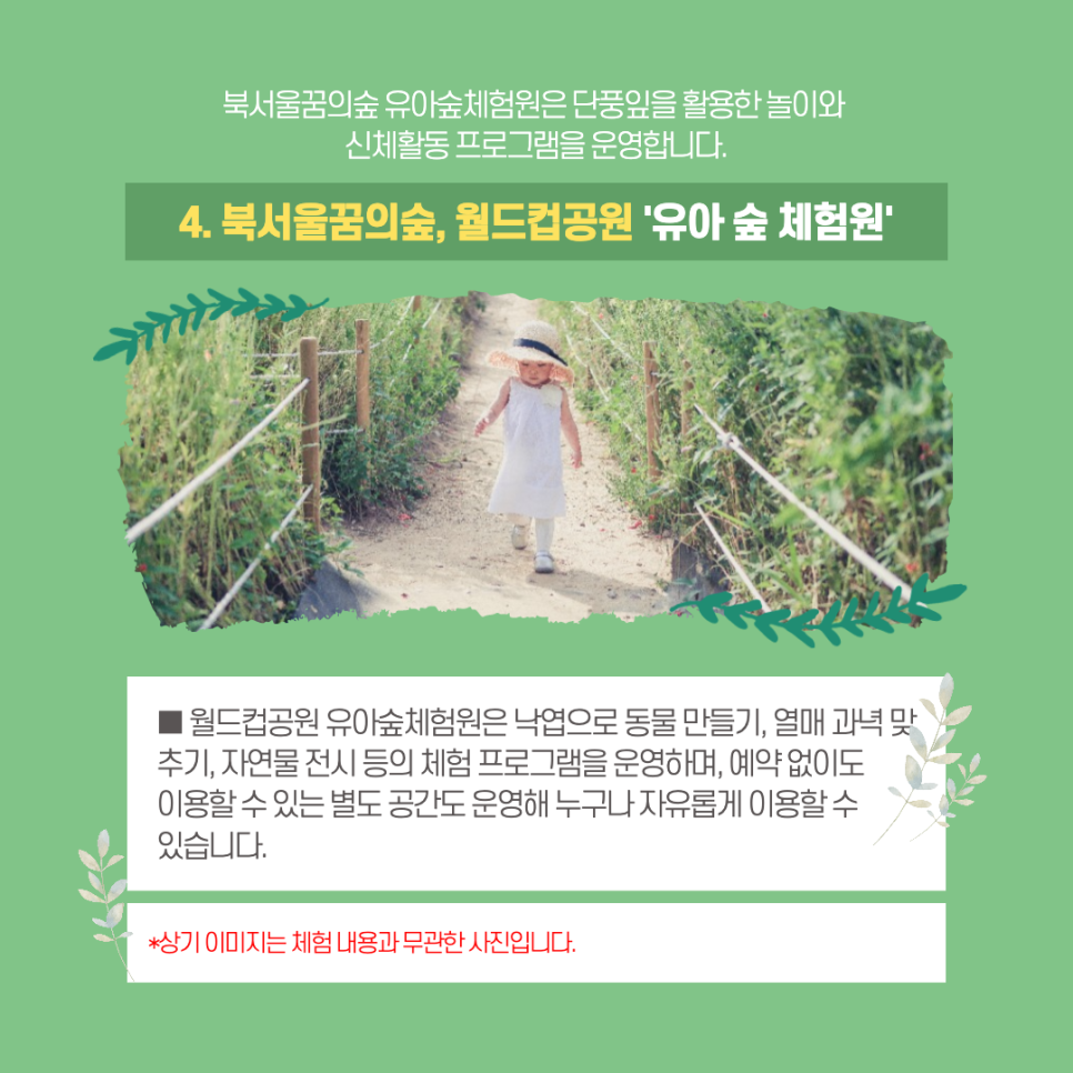북서울꿈의숲 유아숲체험원 이미지