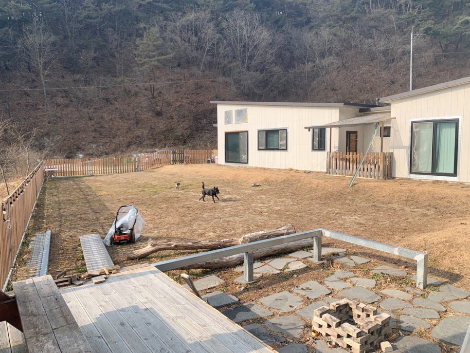 멍편한세상 이미지