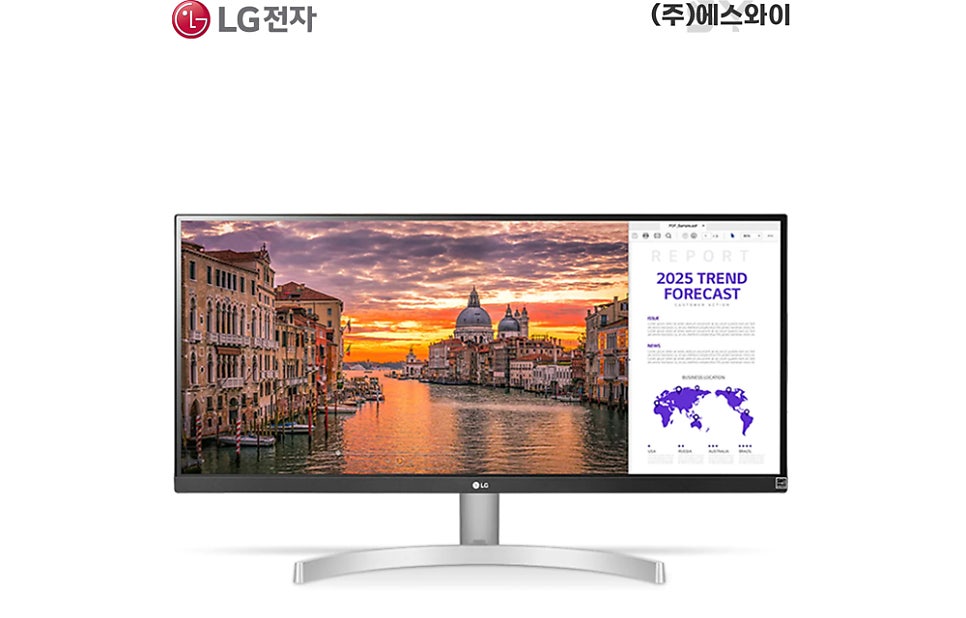 더에스와이 주식회사 이미지