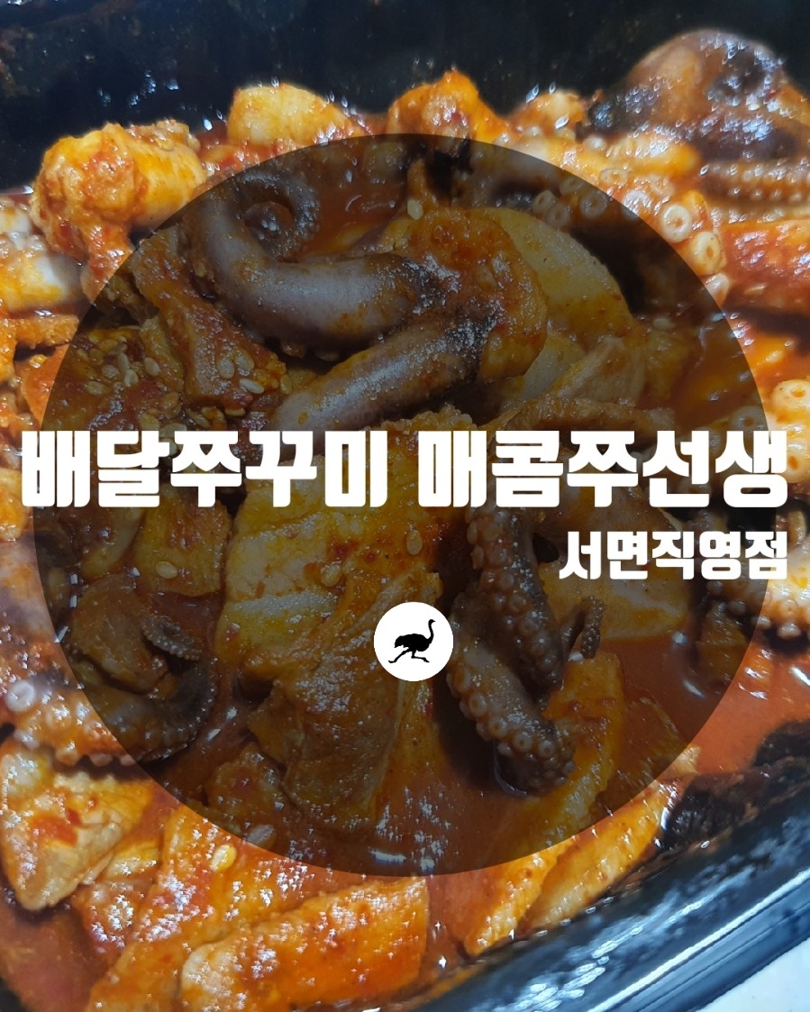 매콤쭈선생 이미지
