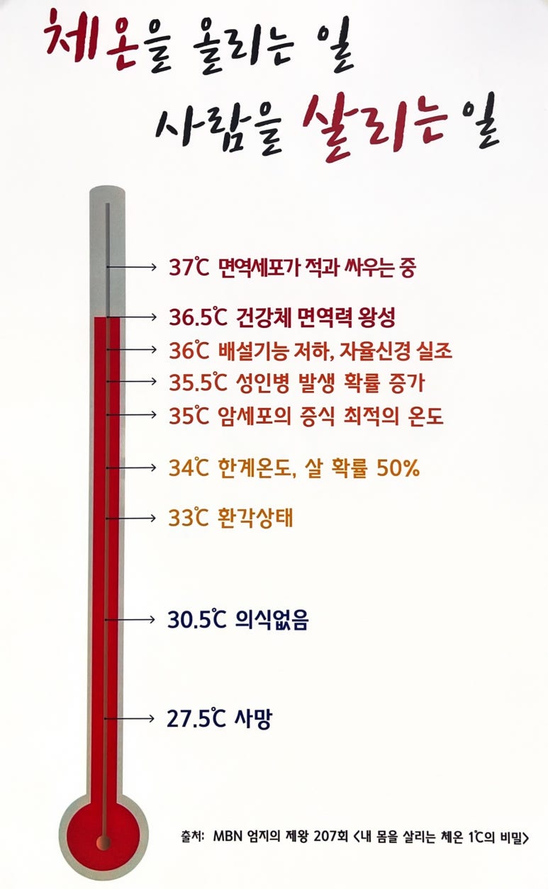 바이오포톤 이미지