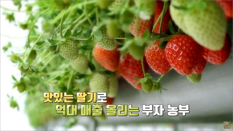 법인클라우드베리 이미지