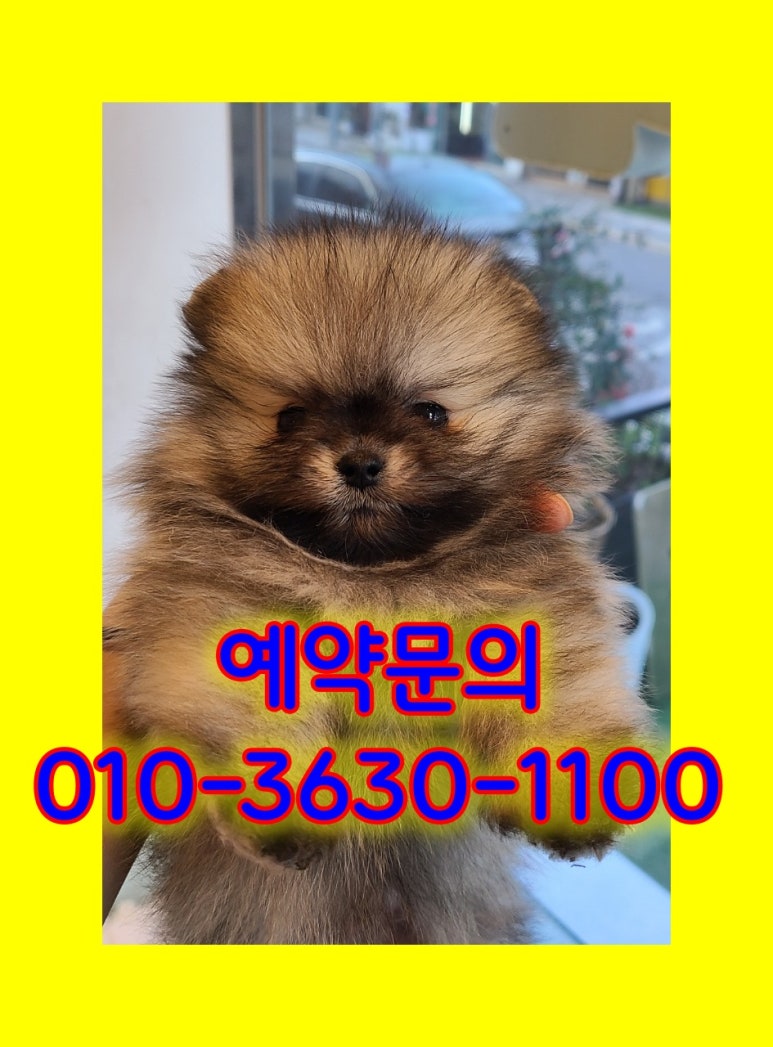 위너풋살 이미지