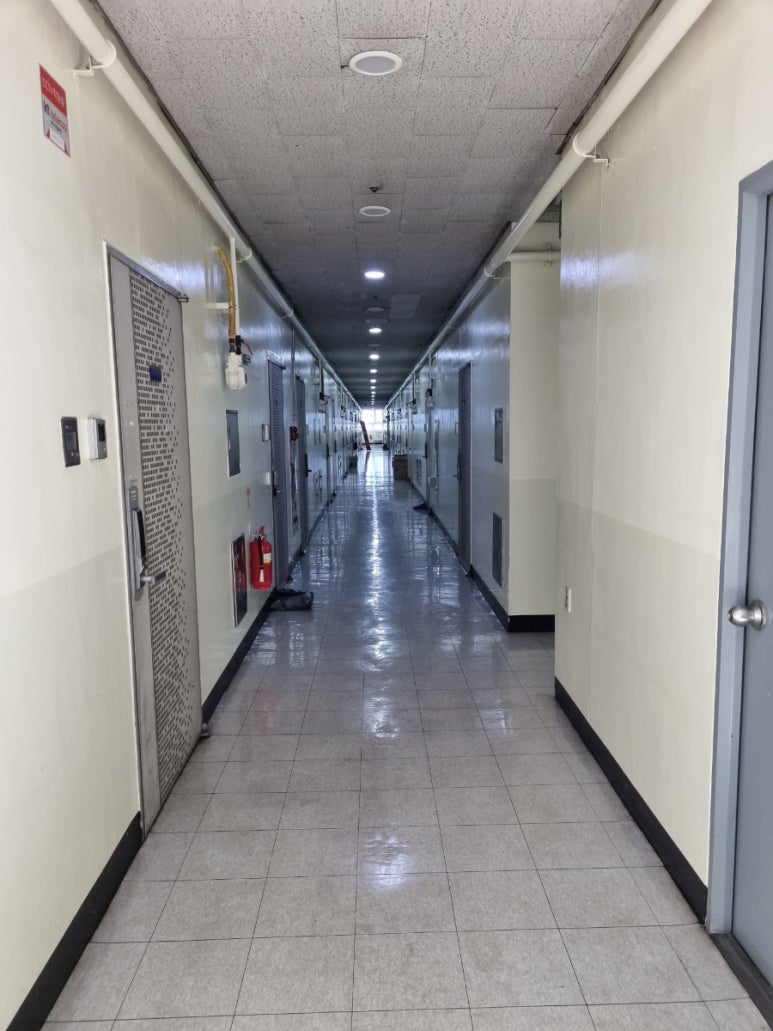 Y스킨갤러리 이미지