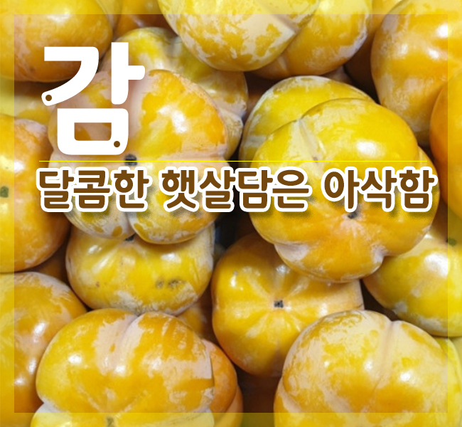 햇살농산 이미지