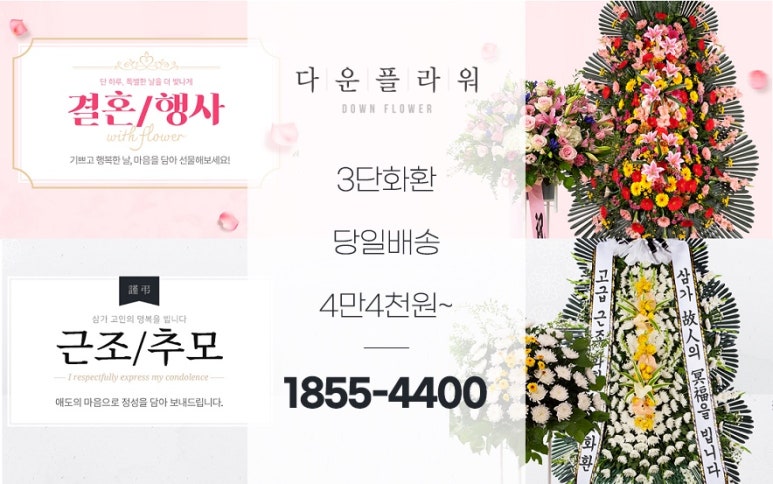 비스트로출출 이미지