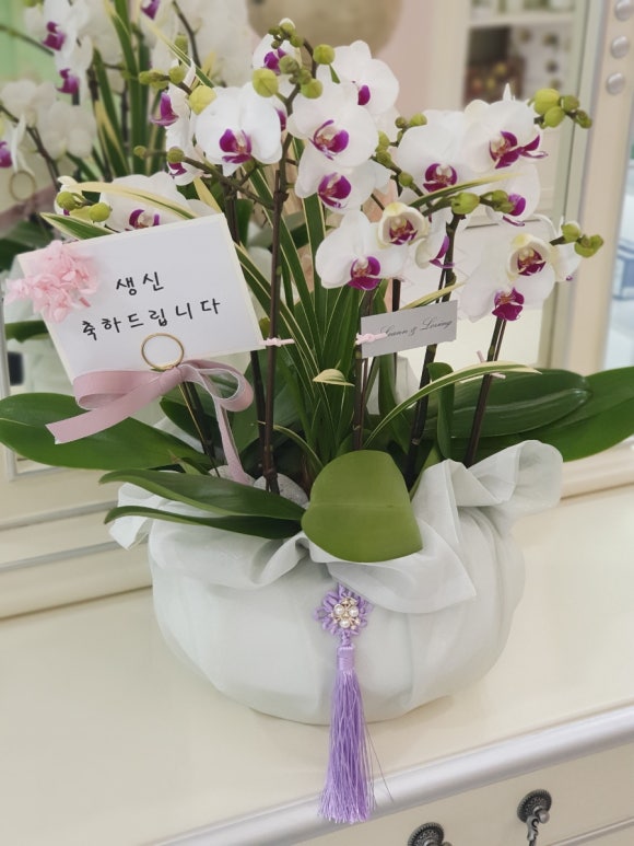 뮤리엘플레르 이미지