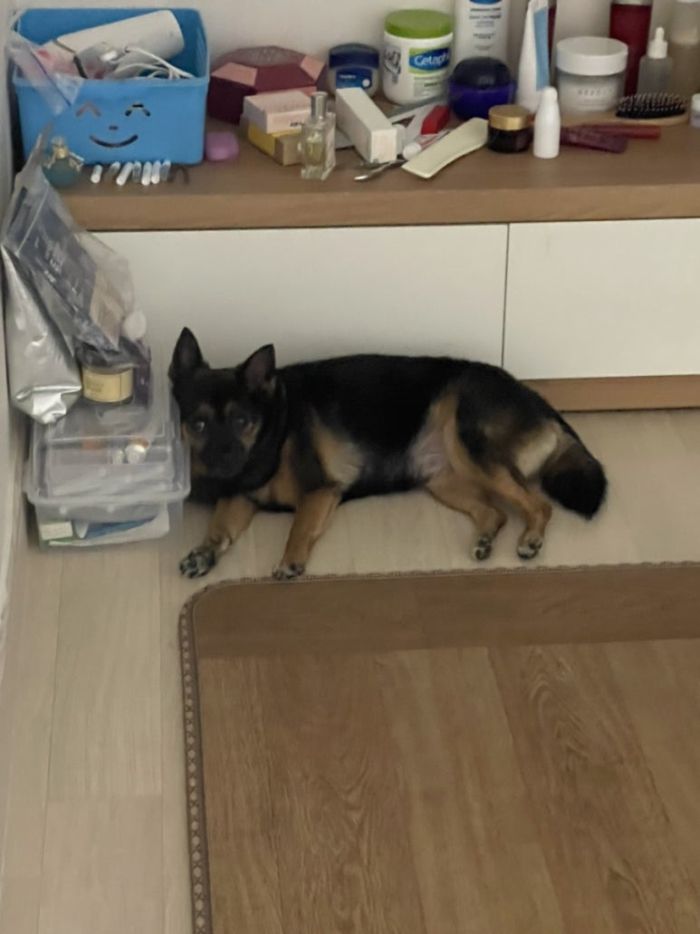 구구촌 이미지