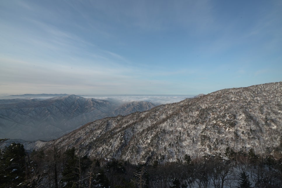 청호물산 이미지