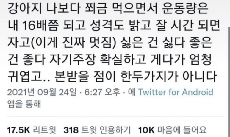 시장밥집 이미지