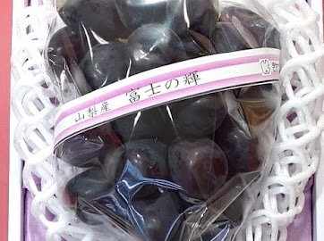 법인알프스농원 이미지
