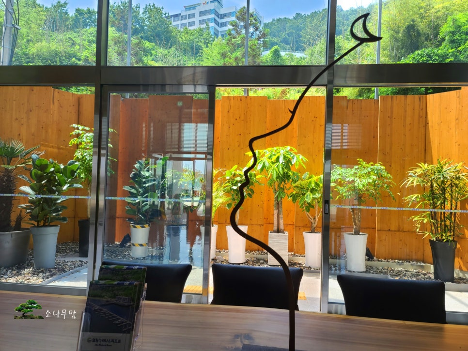 엘림리조트 이미지