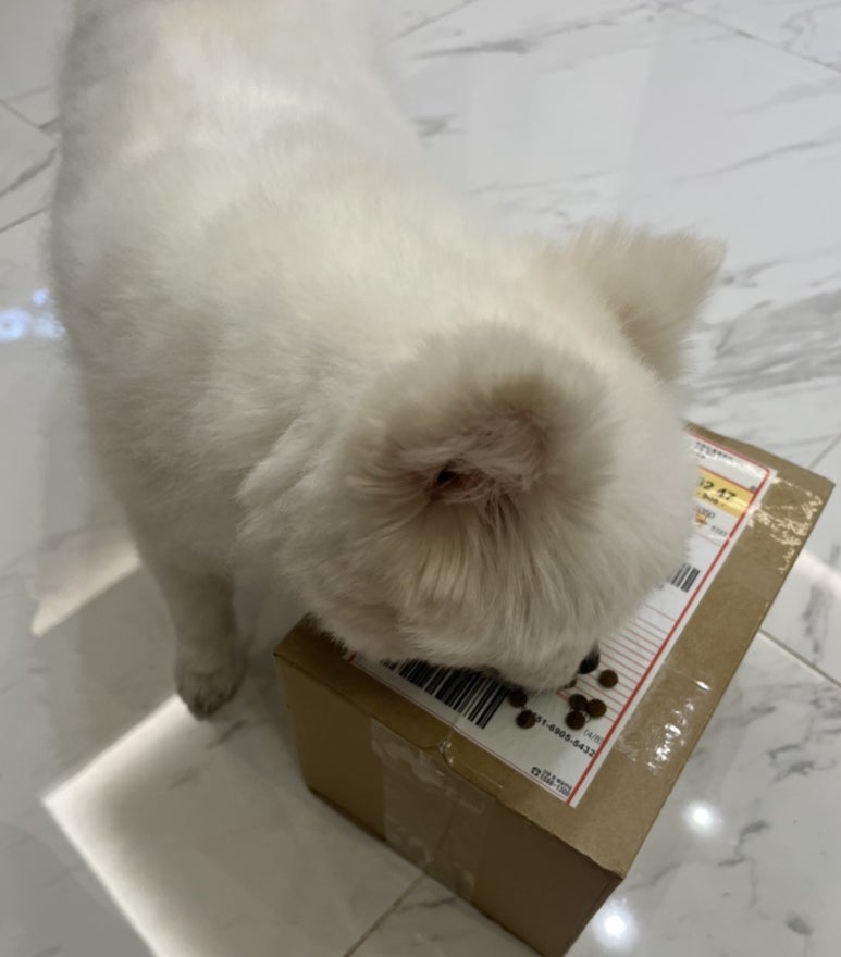 박서방상회 이미지