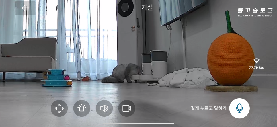 살구팩토리 이미지