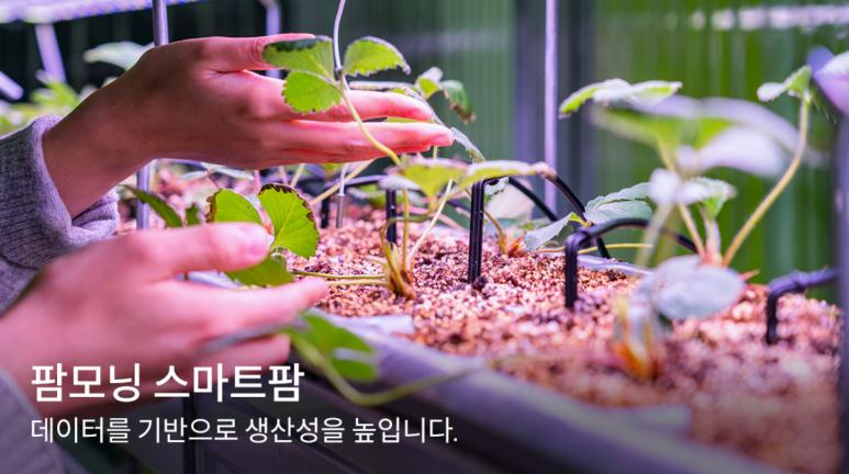 우성프로세스 이미지
