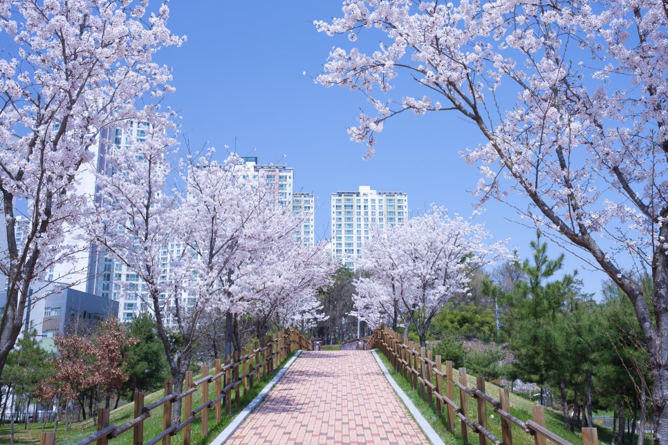 한빛유치원 이미지