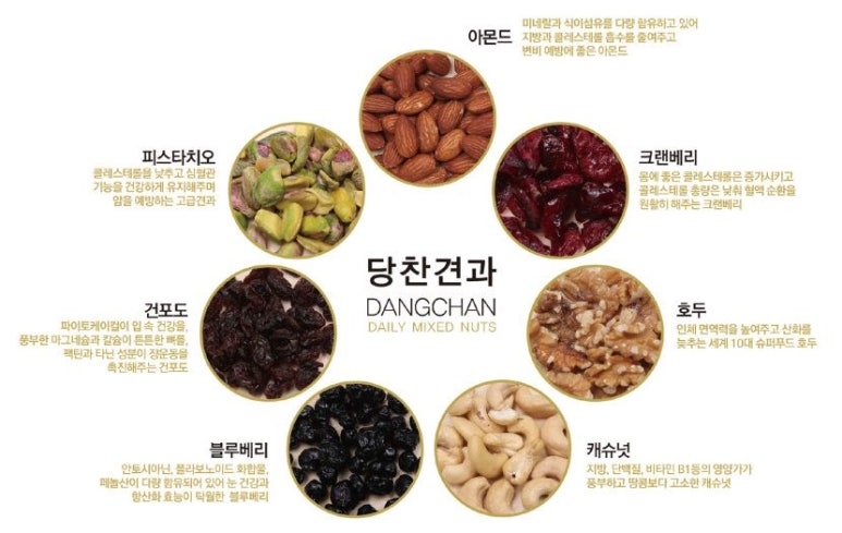 민들레일터 이미지