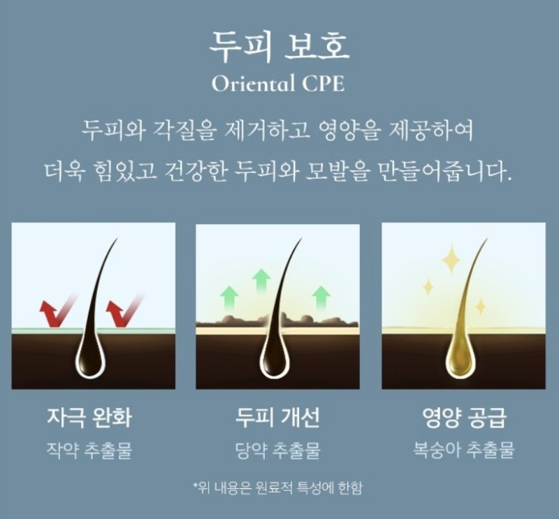 리리크 이미지