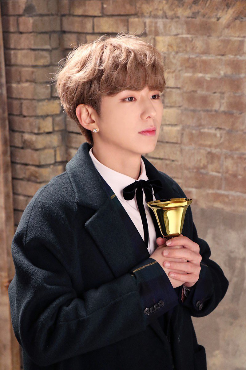 더 드리밍 이미지