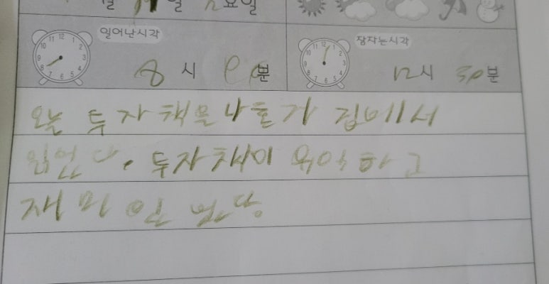 다일린 이미지