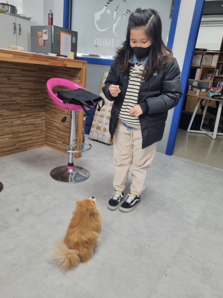 구미펫직업훈련학원 이미지
