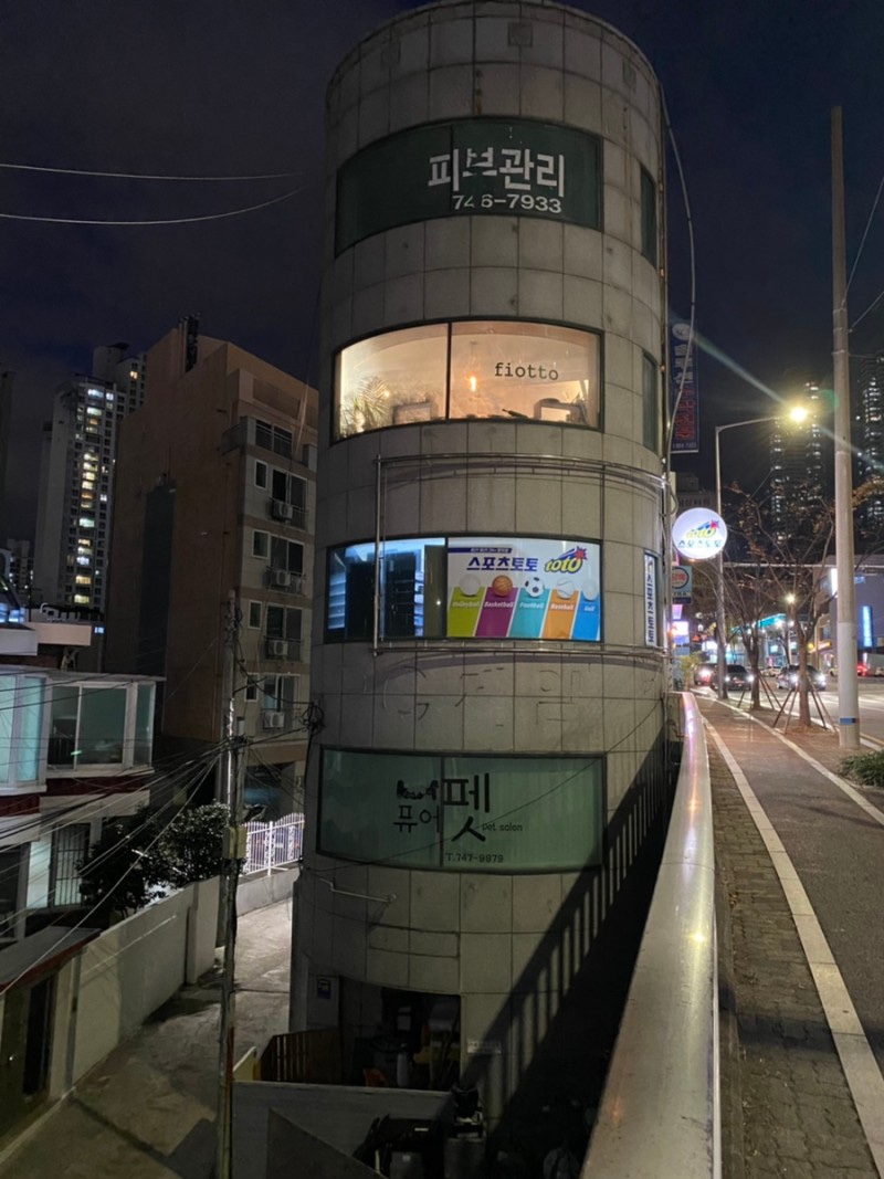 피오또 이미지