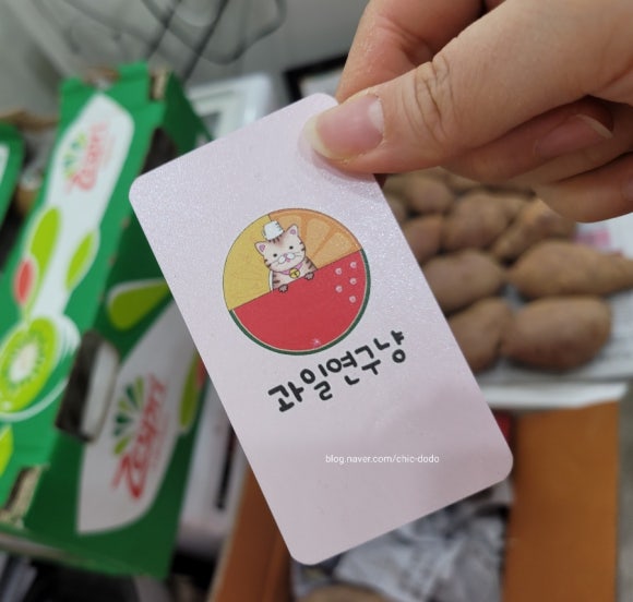 과일연구냥 이미지