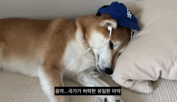 나준베이커리 이미지