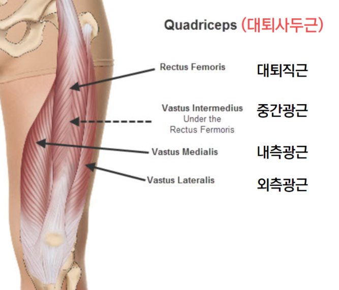 내셔널팀휘트니스 이미지